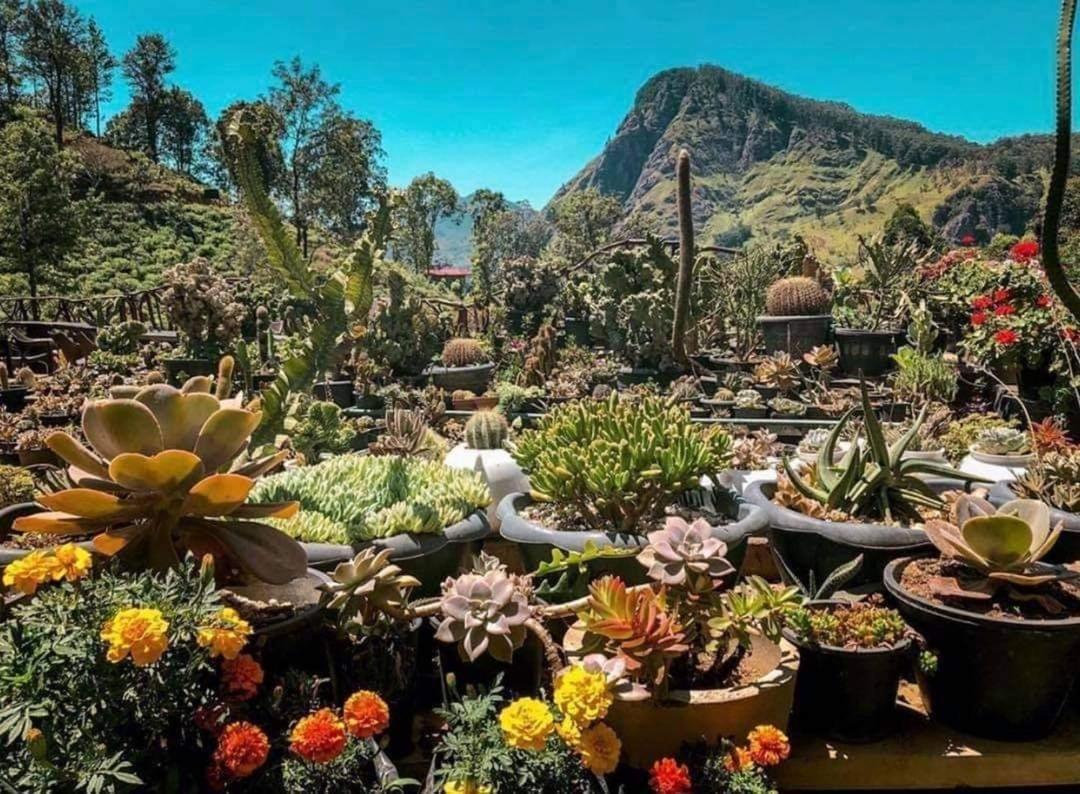 Ella Flower Garden Resort Exterior photo