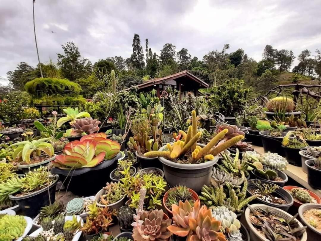 Ella Flower Garden Resort Exterior photo