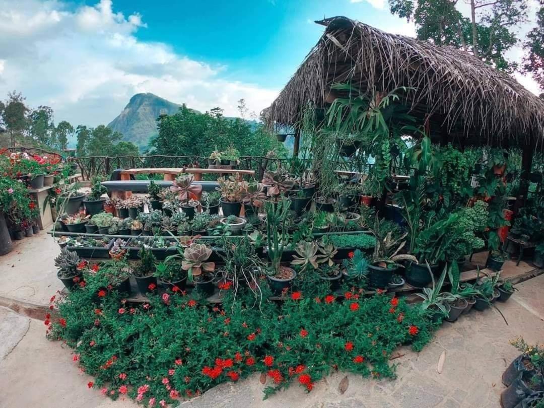 Ella Flower Garden Resort Exterior photo