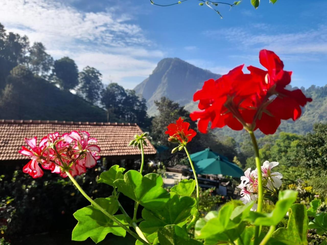 Ella Flower Garden Resort Exterior photo